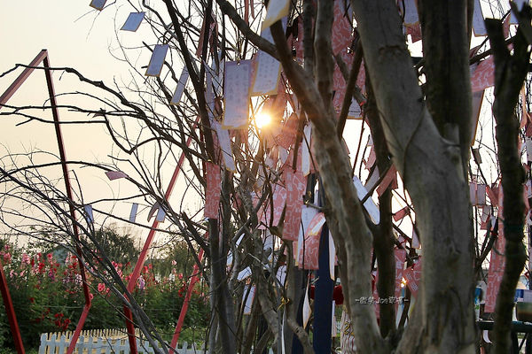 IMG_3502.jpg IMG_3502.jpg