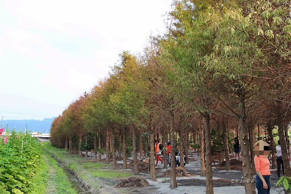 IMG_3322.jpg IMG_3322.jpg