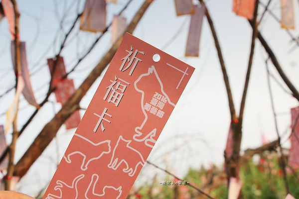 IMG_3497.jpg IMG_3497.jpg