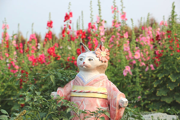 IMG_3460.jpg IMG_3460.jpg