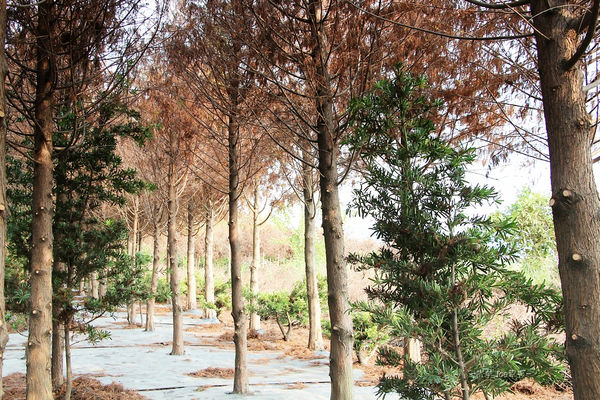 IMG_3332.jpg IMG_3332.jpg