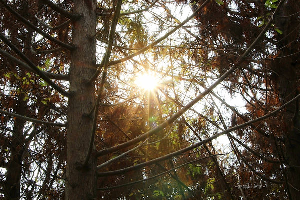 IMG_3347.jpg IMG_3347.jpg