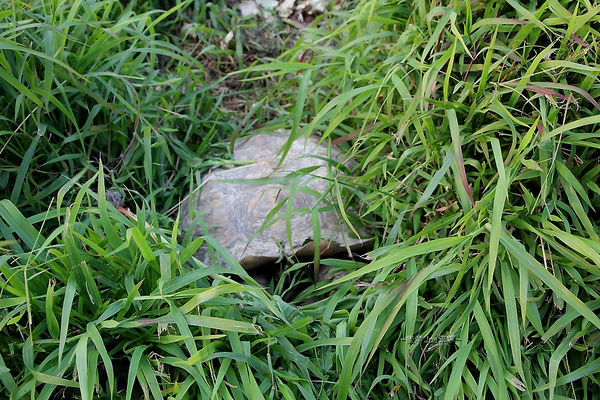 IMG_3543.jpg IMG_3543.jpg