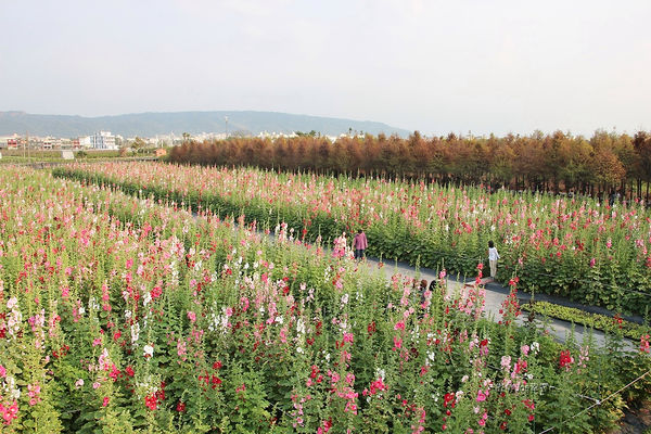 IMG_3416.jpg IMG_3416.jpg