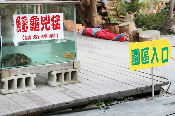 IMG_3454.jpg IMG_3454.jpg