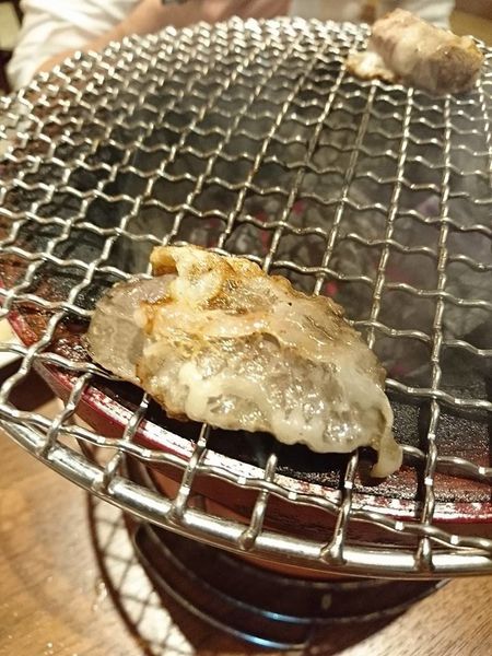 16174704_1378975945467424_632045275073452802_n