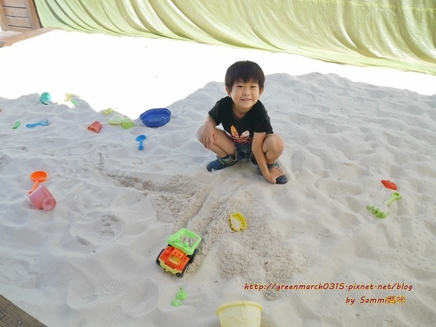 P8700493 (620x465).jpg P8700493 (620x465).jpg