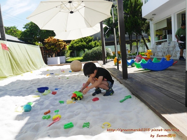 P8700485 (620x465).jpg P8700485 (620x465).jpg