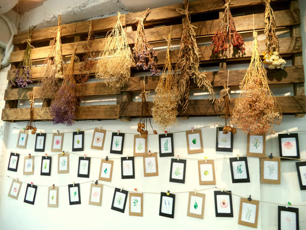 伍伍零-咖啡與餐!!滿足味蕾的森林系玻璃屋