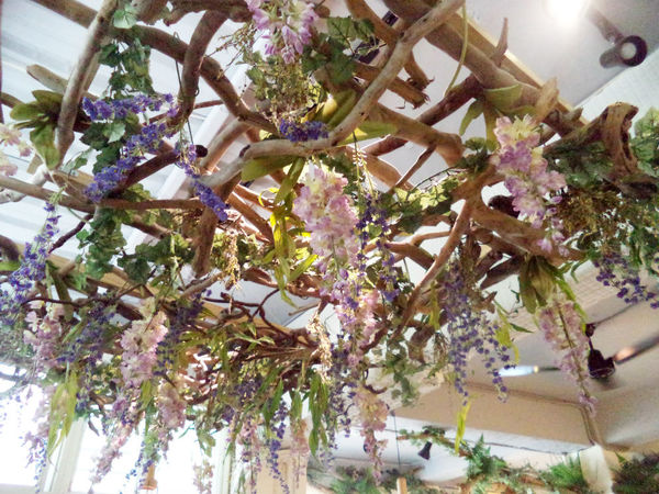 伍伍零-咖啡與餐!!滿足味蕾的森林系玻璃屋