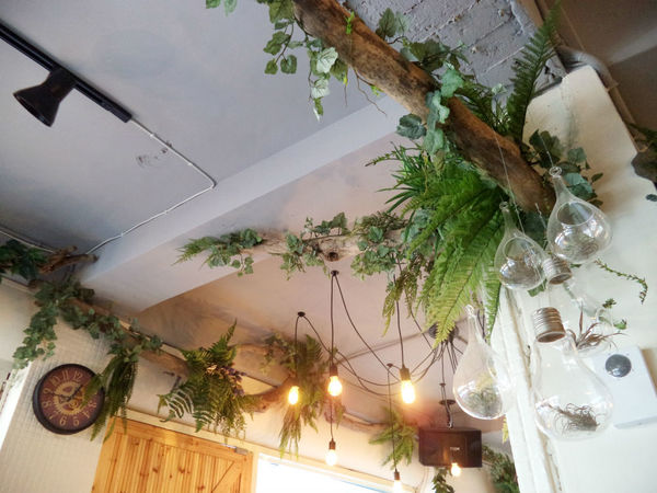 伍伍零-咖啡與餐!!滿足味蕾的森林系玻璃屋