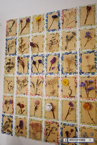 台北美食【伍伍零咖啡與餐】乾燥花咖啡館。士林芝山早午餐推薦