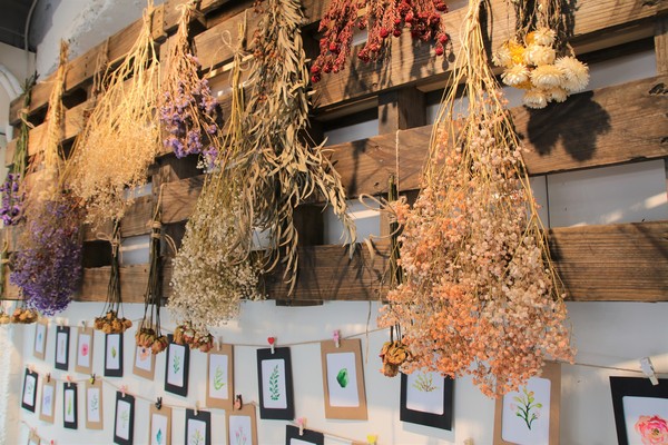 伍伍零-咖啡與餐:【台北美食】士林美食-芝山站早午餐~伍伍零550cafe咖啡,美拍的乾燥花牆,台北約會新地標,IG熱門打卡