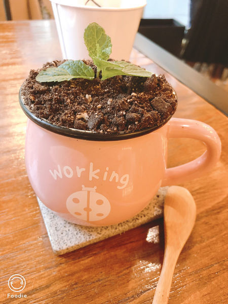 圓圓家愛吃貨-<台北芝山美食>夢幻的乾燥花玻璃屋,少女們怎能不造訪,伍伍零-咖啡與餐,悠閒的下午時光