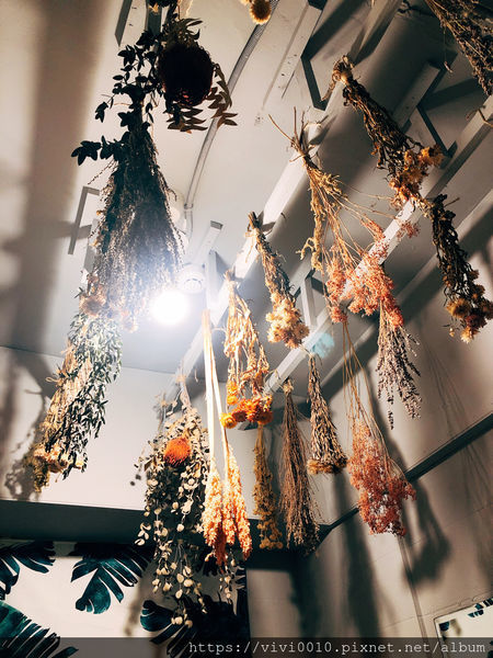 圓圓家愛吃貨-<台北芝山美食>夢幻的乾燥花玻璃屋,少女們怎能不造訪,伍伍零-咖啡與餐,悠閒的下午時光