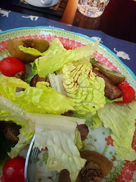 17190978_1427132230651795_4696659516560639123_n