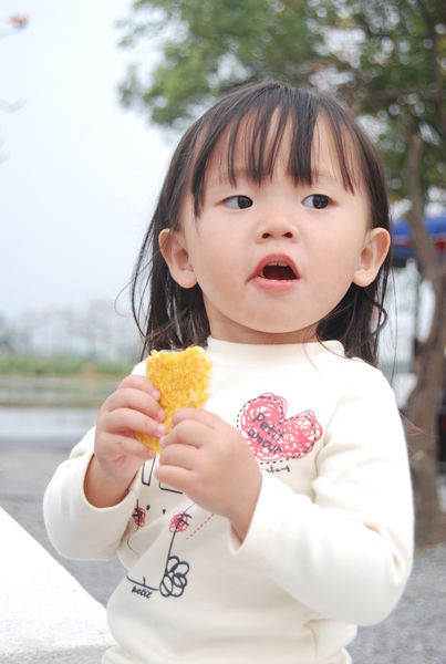 ●一口鍋●鍋粑脆餅/濃濃台灣味宅配美食/團購零食推薦必敗
