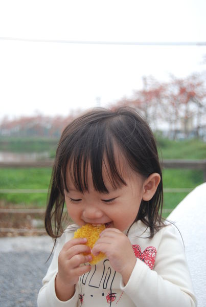 ●一口鍋●鍋粑脆餅/濃濃台灣味宅配美食/團購零食推薦必敗
