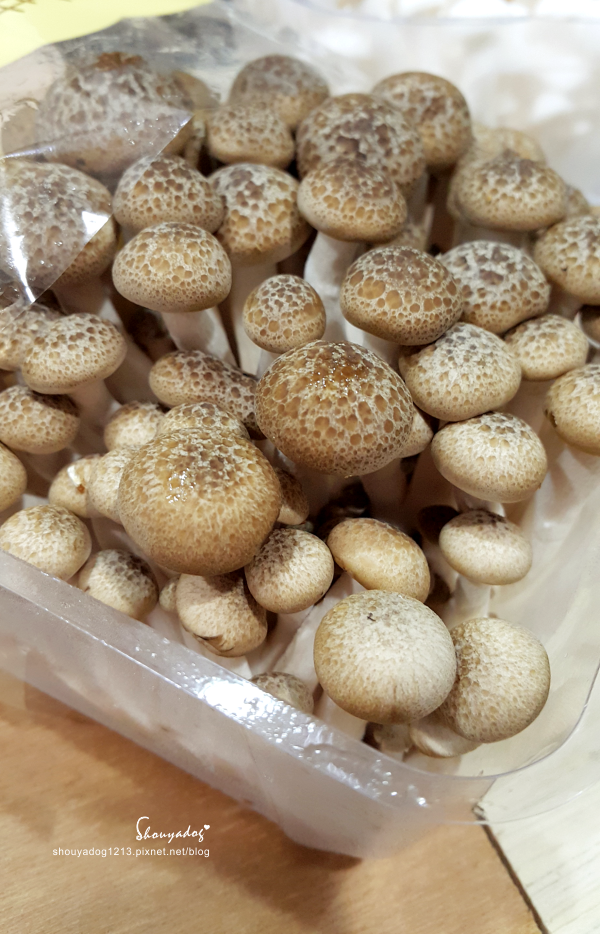 鮮菇道：【新鮮食材】煮食好朋友 可愛小菇菇 鮮菇道