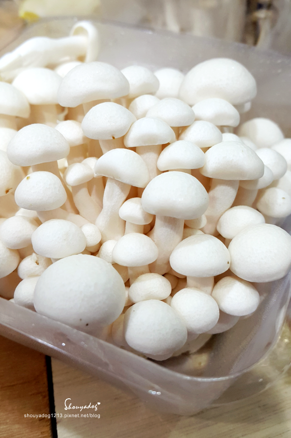 鮮菇道：【新鮮食材】煮食好朋友 可愛小菇菇 鮮菇道