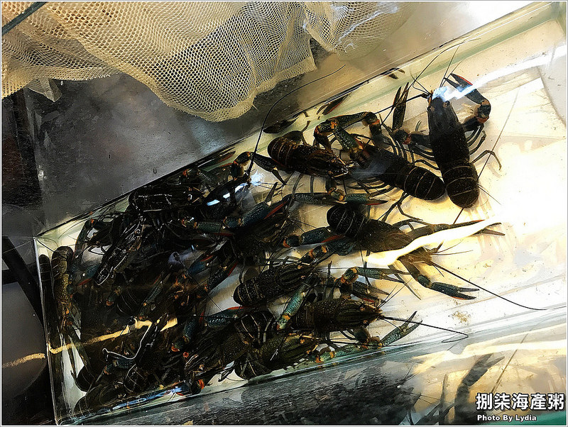 【食記│台南】捌柒海產粥~隱藏版深夜行動餐車藏鮮味，每日限量50碗有整隻澳洲小龍蝦入菜的海產粥!