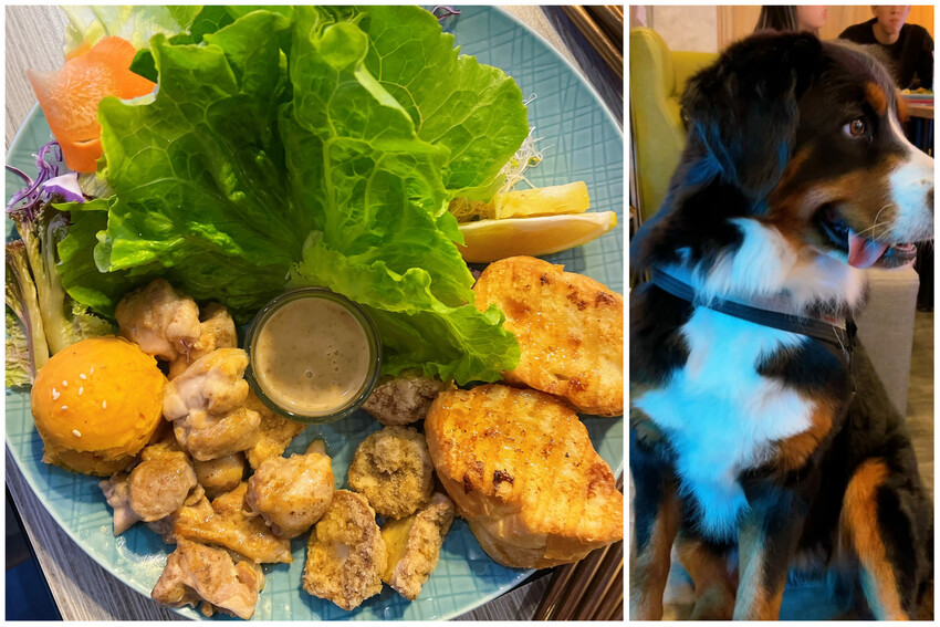 台北東區正宗義大利餐廳— Chiao Duo House巧哚洋房 ，獨家地中海飲食加上唯美氣氛根本就是新的約會天堂