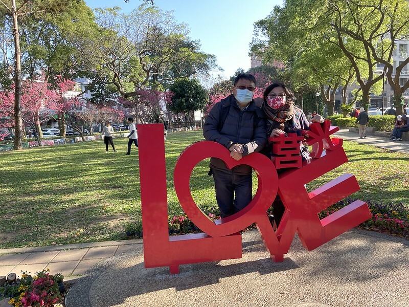 【台灣，桃園市，中壢區】2021莒光公園，櫻花盛開，正美麗。（20210218~19花況）