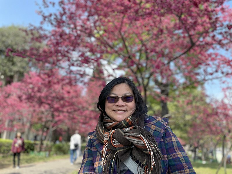 【台灣，桃園市，中壢區】2021莒光公園，櫻花盛開，正美麗。（20210218~19花況）