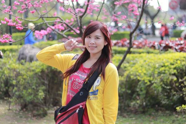 莒光公園: 【桃園景點】中壢莒光公園櫻花步道~櫻花滿開大爆炸