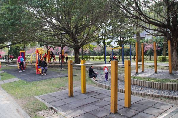 莒光公園: 【桃園景點】中壢莒光公園櫻花步道~櫻花滿開大爆炸