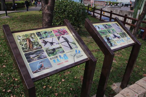 莒光公園: 【桃園景點】中壢莒光公園櫻花步道~櫻花滿開大爆炸