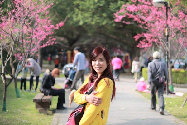 莒光公園: 【桃園景點】中壢莒光公園櫻花步道~櫻花滿開大爆炸