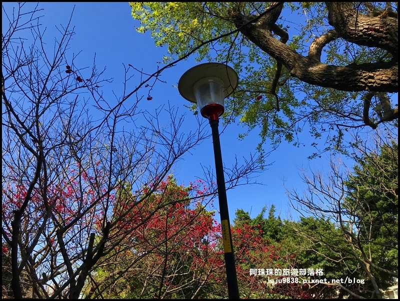 莒光公園42.JPG