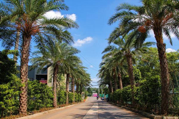 晶麒莊園: 【桃園平鎮景點】晶麒莊園宴會館HONEYWOOD CAFÉ~異國歐式夢幻教堂/浪漫LOVE花園/喜宴餐廳/桃園平鎮免費熱拍新景點