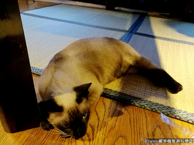 『桃園中壢下午茶』朝夕相處coexist studio★乾燥花店結合冰店被乾燥花圍繞吃雪花冰喝下午茶/新娘捧花婚禮場地佈置乾燥花課程