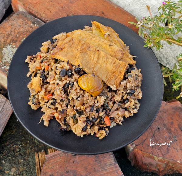 麥斯盒子高蛋白控卡糙米飯 加熱即食冷凍健康餐 飲控菜單推薦