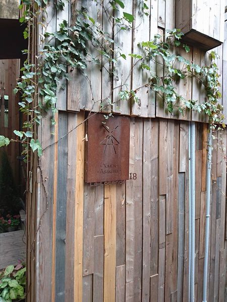 17309114_1434027419962276_4369214714189399114_n