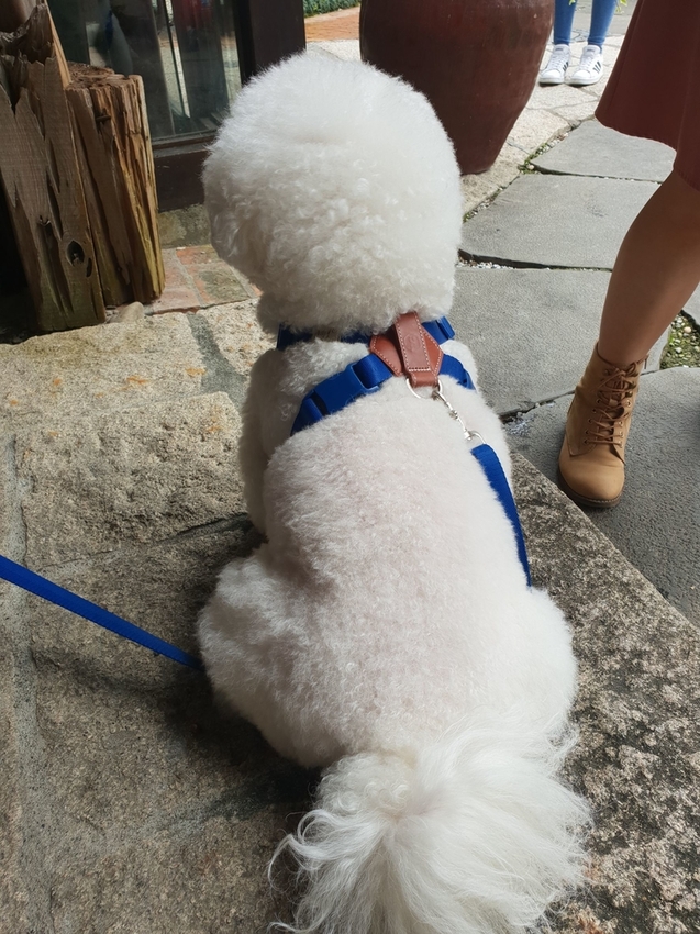 226698.jpg - 【宜蘭.三星】大洲魚寮無菜單料理。可寄放寵物。口味蠻不錯主菜有五種選擇