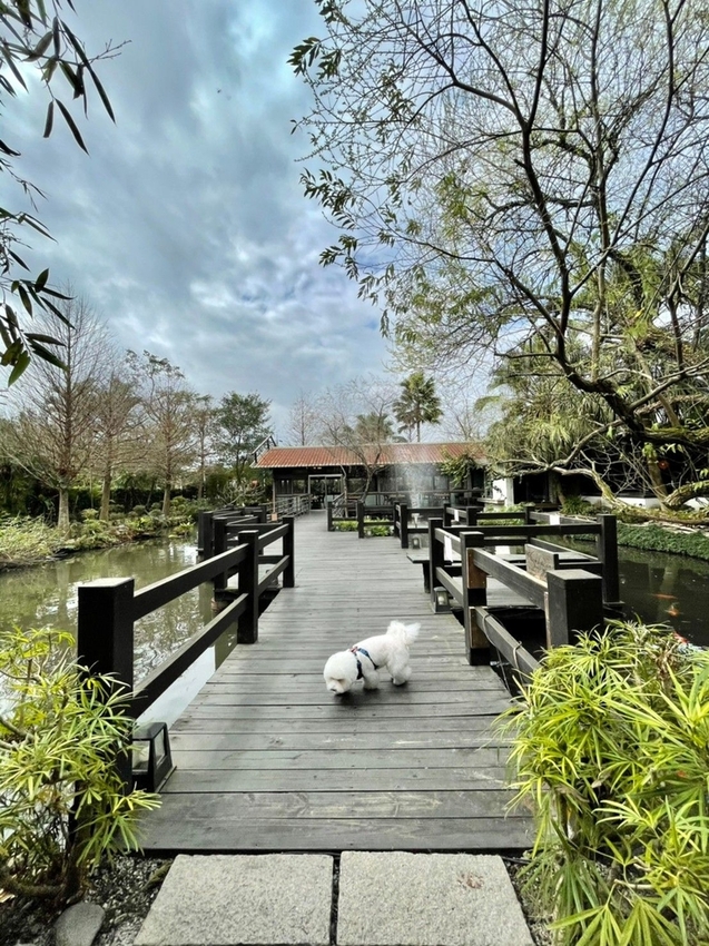 227209.jpg - 【宜蘭.三星】大洲魚寮無菜單料理。可寄放寵物。口味蠻不錯主菜有五種選擇