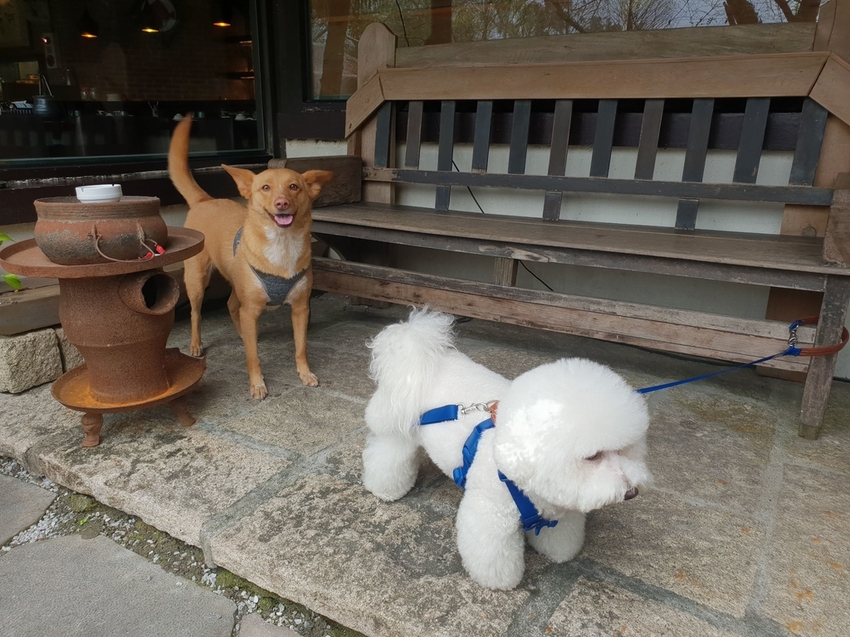 226699.jpg - 【宜蘭.三星】大洲魚寮無菜單料理。可寄放寵物。口味蠻不錯主菜有五種選擇