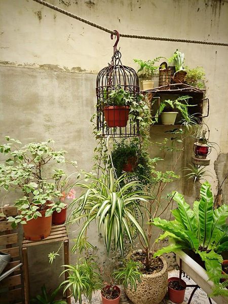 17342548_1434856176546067_1649605060359101685_n