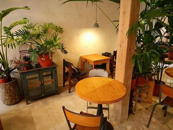 17342519_1434856036546081_4063414158884504231_n