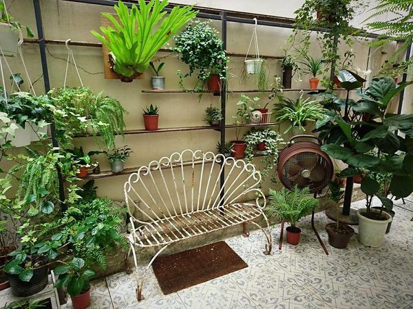 17264599_1434855983212753_2350471786932058993_n