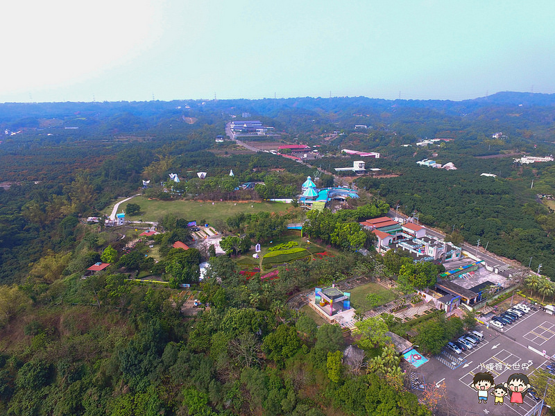 彰化黃風鈴木 008 彰化黃風鈴木 008