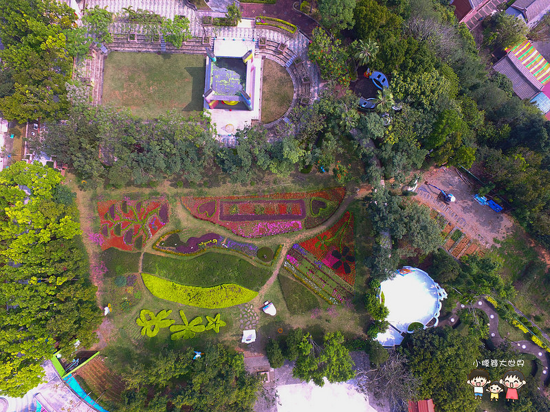 彰化黃風鈴木 012 彰化黃風鈴木 012