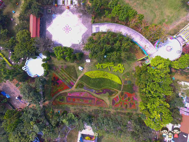 彰化黃風鈴木 009 彰化黃風鈴木 009