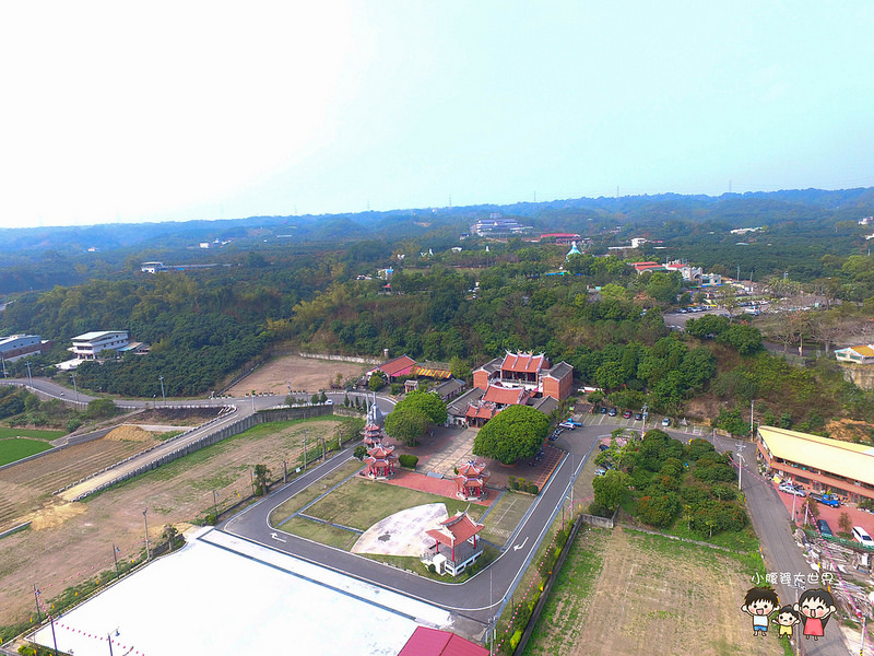 彰化黃風鈴木 005 彰化黃風鈴木 005