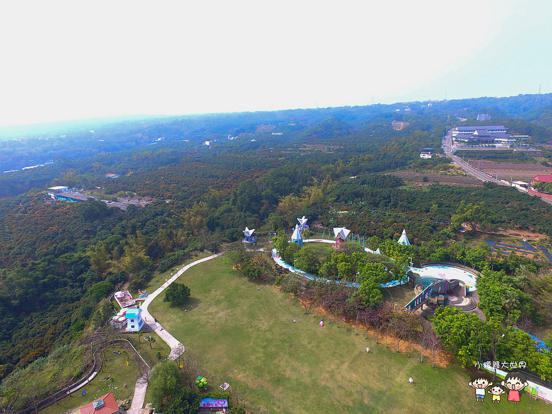 彰化黃風鈴木 010 彰化黃風鈴木 010