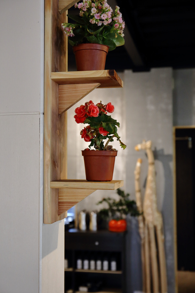 【食。中壢】熱浪島南洋蔬食茶堂～峇里島親子主題餐廳。吃素也可以大滿足！創新吃法南洋風味料理，素食新選擇！