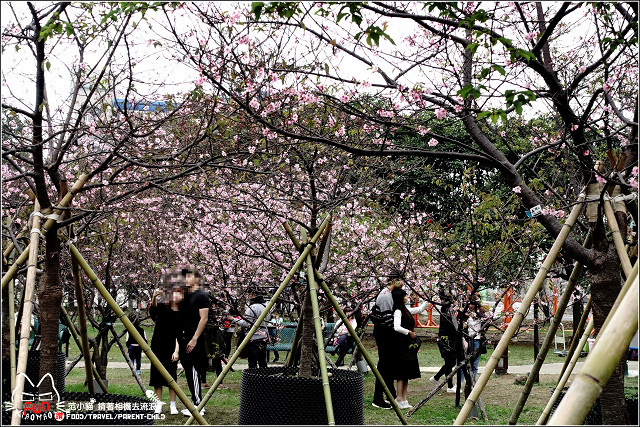 麗池賞櫻 - 016.jpg